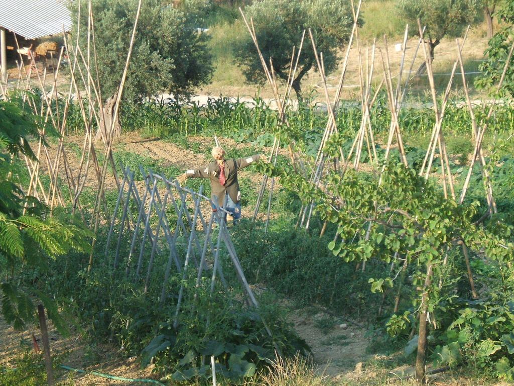 Le Mignole Bioagriturismo Farm stay Orsogna