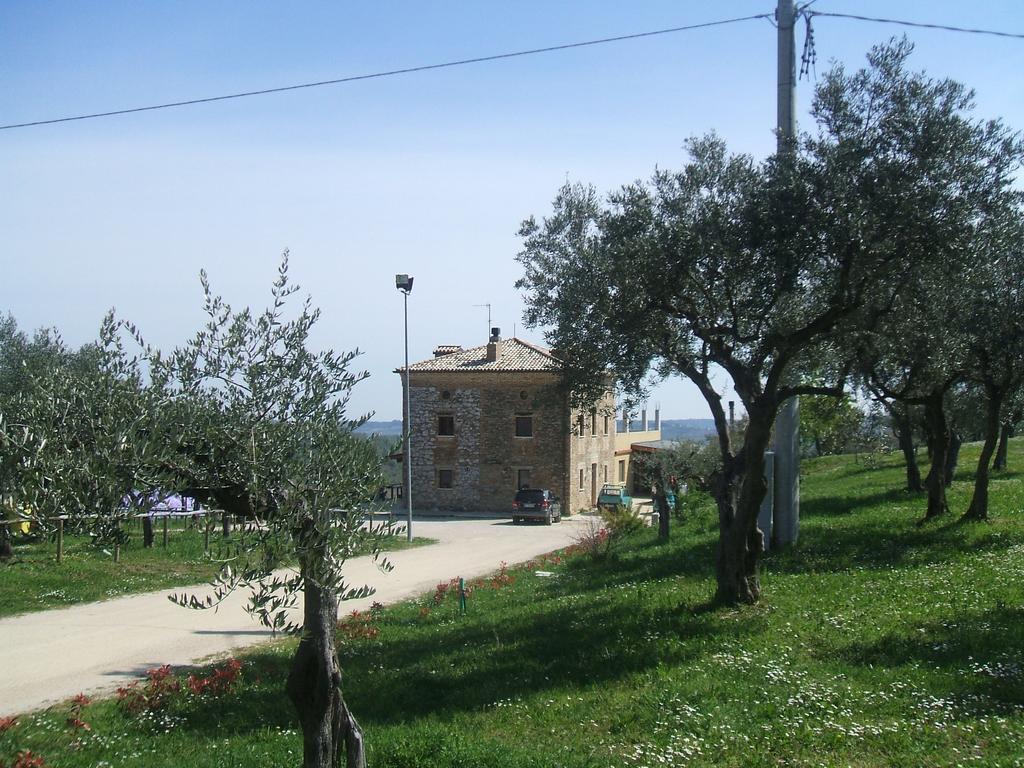 Farm stay Le Mignole Bioagriturismo Orsogna